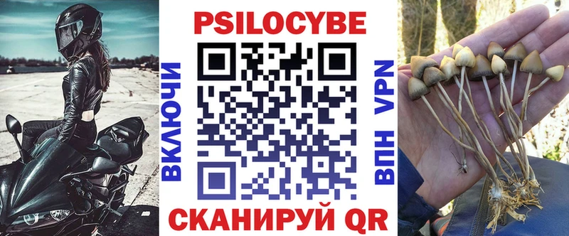 где можно купить наркотик  Лабытнанги  Псилоцибиновые грибы GOLDEN TEACHER 